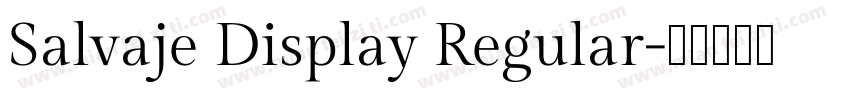 Salvaje Display Regular字体转换